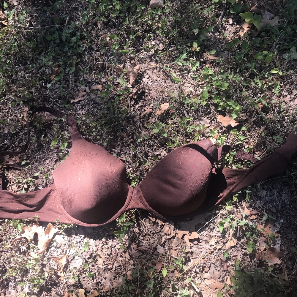 brown vanity fair bra